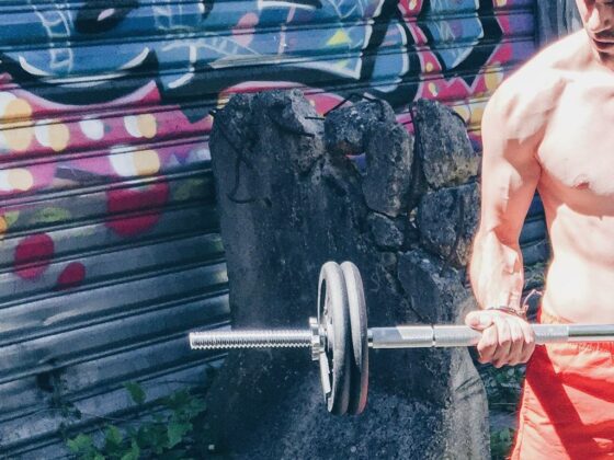 programme musculation