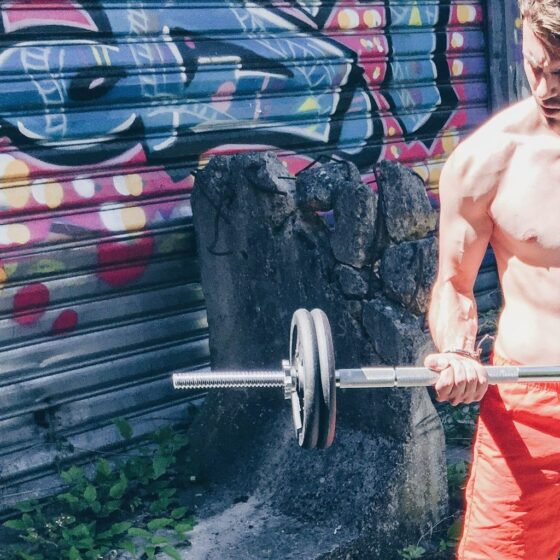 programme musculation