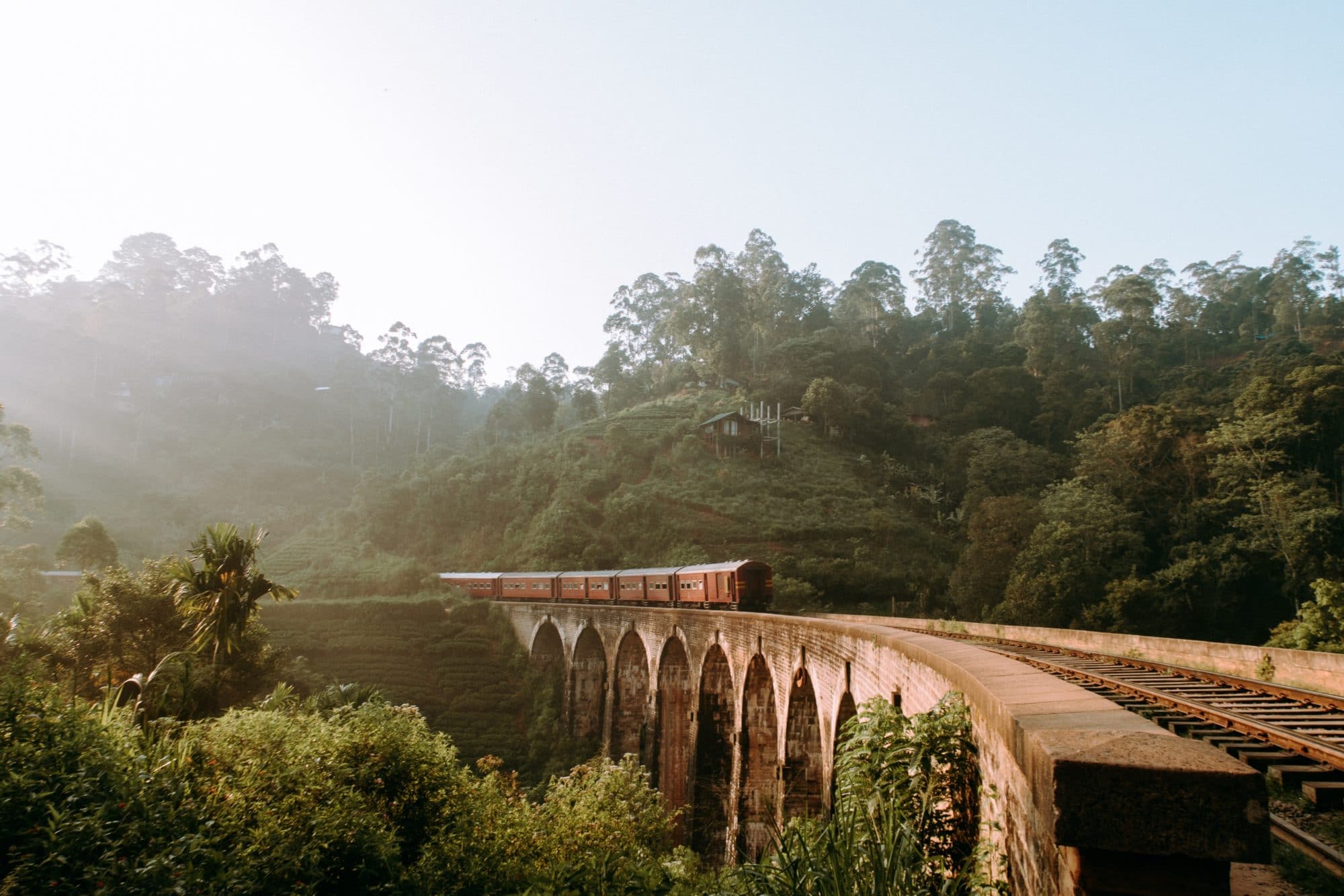 Photo d'un train dans un paysage au Sri Lanka