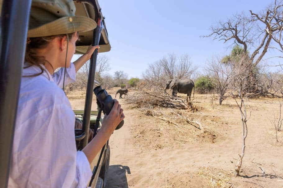 Voyage Afrique du Sud